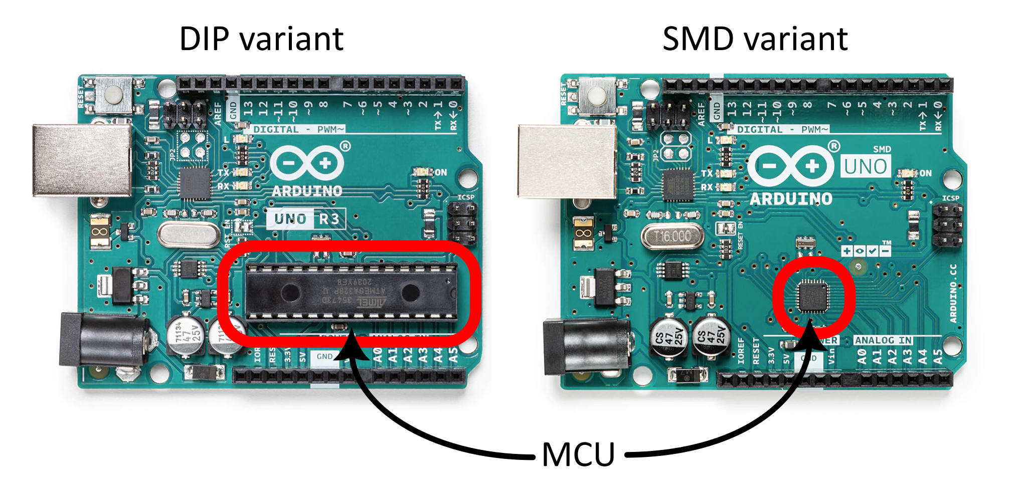 The actual MCU is an IC (ATMEL ATmega328P) on the Arduino board. It comes in two styles: a DIP (dual in-line package) style and SMD (surface mount device). The DIP chip MCU can be pulled out and used in other circuits.