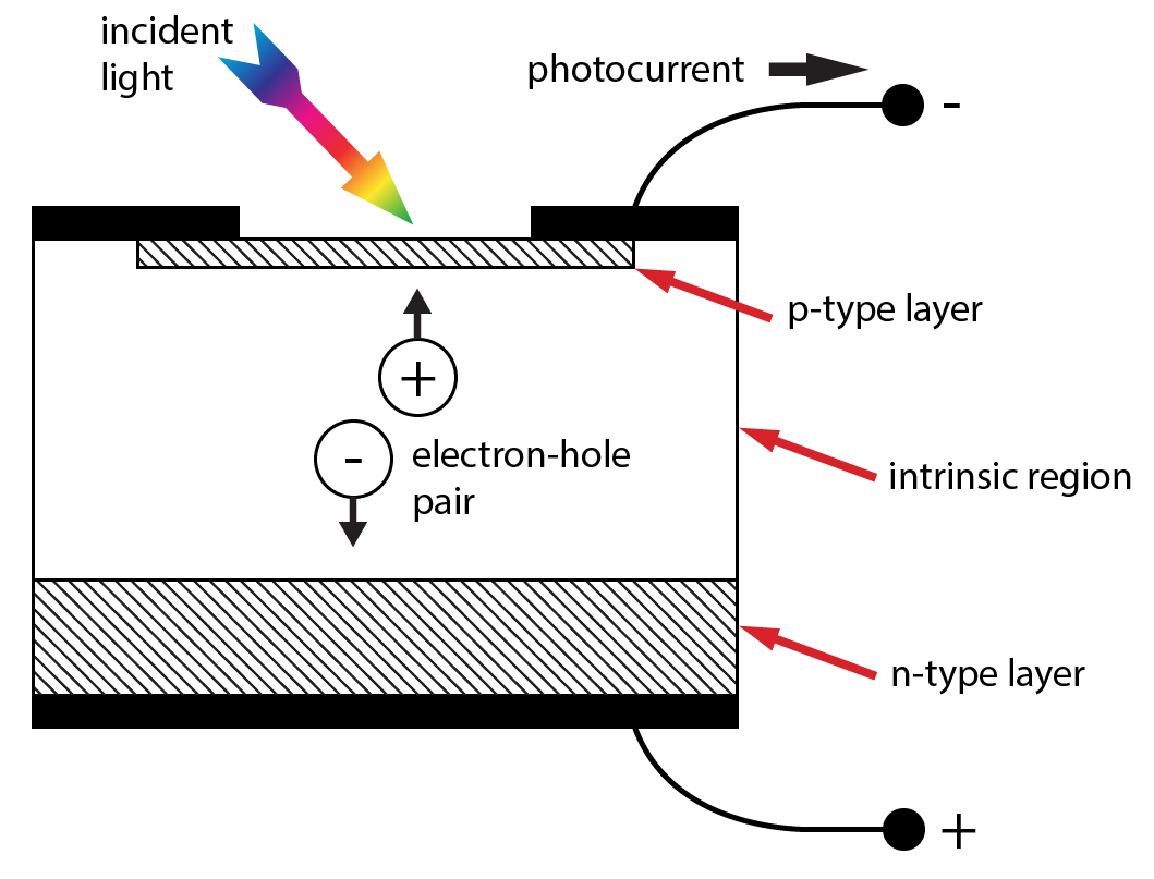 Diagram and schematic symbol for a PIN silicon photodiode.