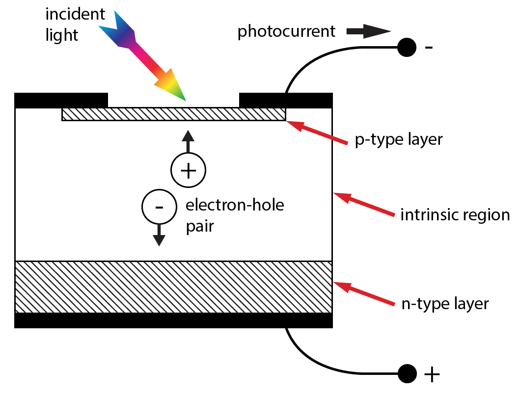 Figure 3: Diagram and schematic symbol for a PIN silicon photodiode.